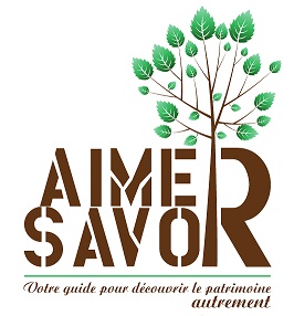 Guide conférencier Toulouse