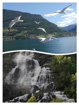 LE FJORD DU RÊVE